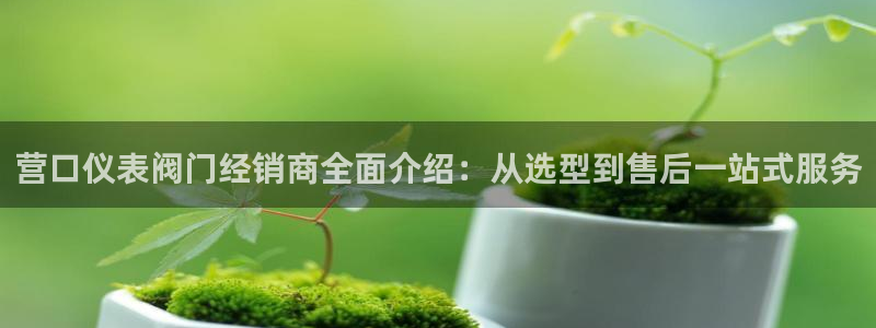 新宝gg会员