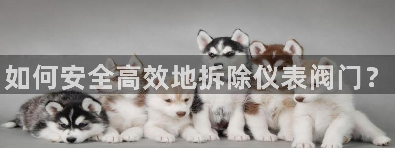 新宝太阳gg
